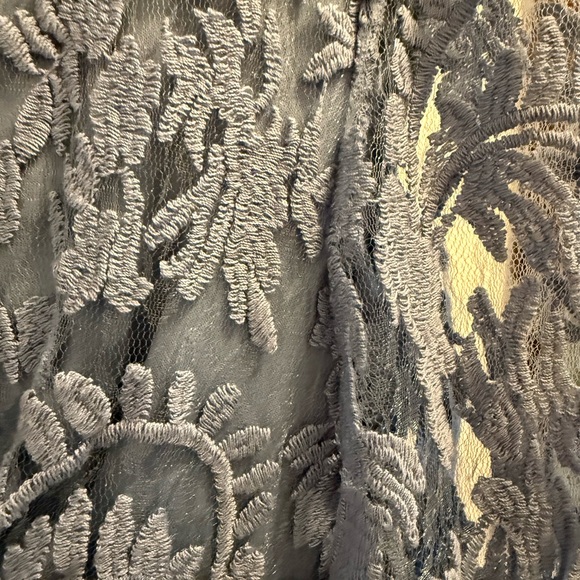 Adrianna Papell Elegant Lace Overlay Dress - Dusty Blue - Picture 4 of 5